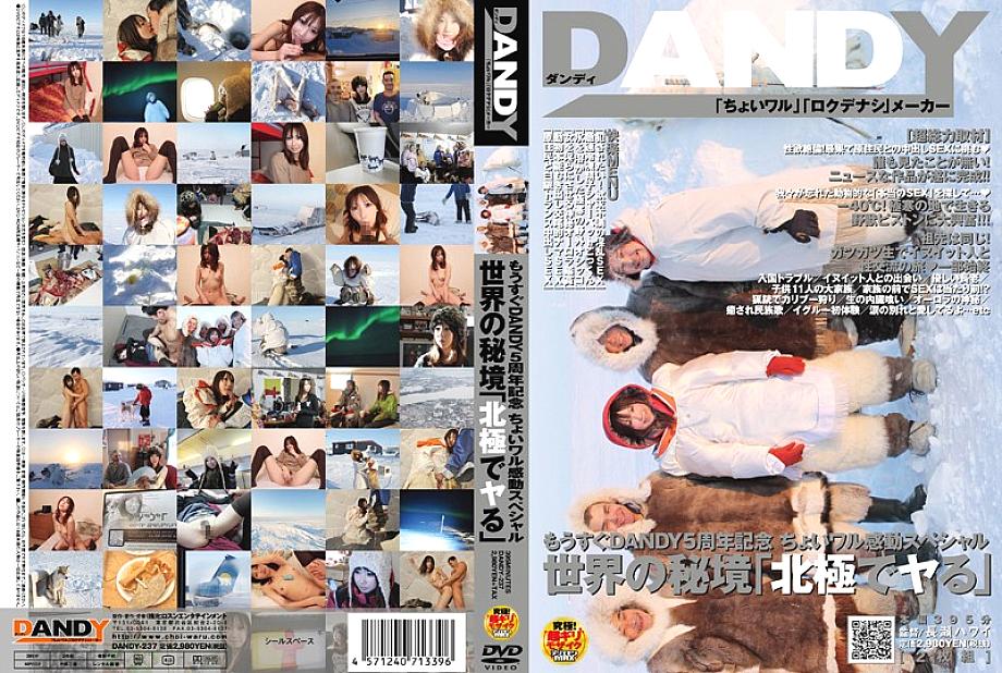 dandy-237