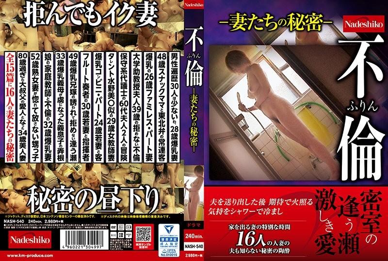 NASH-540 - Affair Furin -Wife's Secret-